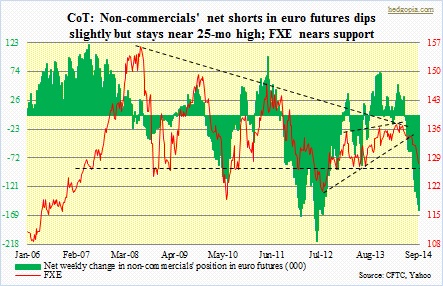 CoT euro, FXE